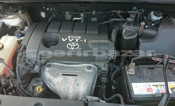 Buy Used Toyota RAV4 Silver Car in Yaounde in Central Cameroon Buy Used Toyota RAV4 Silver Car in Yaounde in Central Cameroon