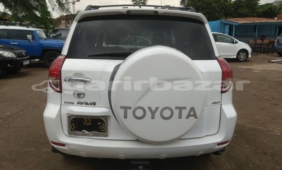 Buy New Toyota RAV4 White Car in Yaounde in Central Cameroon
