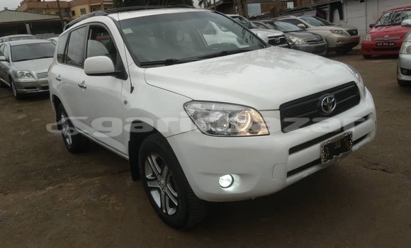 Acheter Neuf Voiture Toyota RAV4 Blanc à Yaoundé, Central Cameroon Acheter Neuf Voiture Toyota RAV4 Blanc à Yaoundé, Central Cameroon