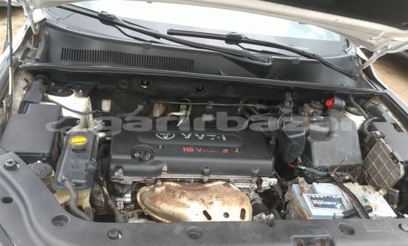 Acheter Neuf Voiture Toyota RAV4 Blanc à Yaoundé, Central Cameroon Acheter Neuf Voiture Toyota RAV4 Blanc à Yaoundé, Central Cameroon