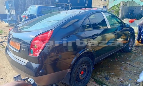 Buy Used Nissan Primera Other Car in Douala in Littoral Cameroon Buy Used Nissan Primera Other Car in Douala in Littoral Cameroon