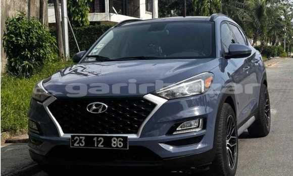 Buy Used Hyundai Tucson Blue Car in Douala in Littoral Cameroon Buy Used Hyundai Tucson Blue Car in Douala in Littoral Cameroon