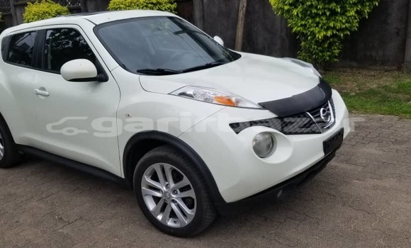 Buy Import Nissan Juke White Car in Douala in Littoral Cameroon