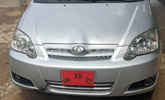Buy Import Toyota Allex Silver Car in Douala in Littoral Cameroon Buy Import Toyota Allex Silver Car in Douala in Littoral Cameroon
