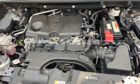 Acheter Neuf Voiture Toyota RAV4 Autre à Douala, Littoral Cameroon Acheter Neuf Voiture Toyota RAV4 Autre à Douala, Littoral Cameroon