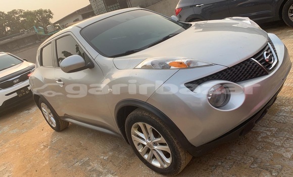 Buy Import Nissan Juke Silver Car in Douala in Littoral Cameroon