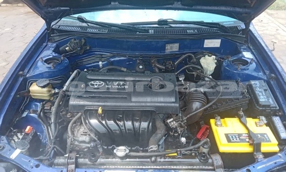 Acheter Occasion Voiture Toyota Corolla Autre à Douala, Littoral Cameroon Acheter Occasion Voiture Toyota Corolla Autre à Douala, Littoral Cameroon