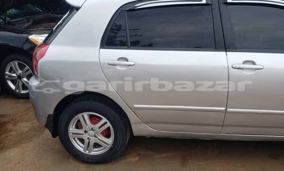 Acheter Neuf Voiture Toyota Runx Gris à Yaoundé, Central Cameroon