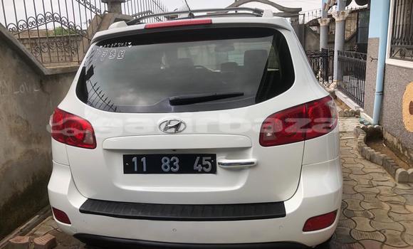 Acheter Import Voiture Hyundai Santa Fe Blanc à Douala, Littoral Cameroon Acheter Import Voiture Hyundai Santa Fe Blanc à Douala, Littoral Cameroon