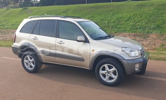 Buy Used Toyota RAV4 Brown Car in Yaounde in Central Cameroon