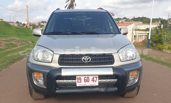 Buy Used Toyota RAV4 Brown Car in Yaounde in Central Cameroon Buy Used Toyota RAV4 Brown Car in Yaounde in Central Cameroon