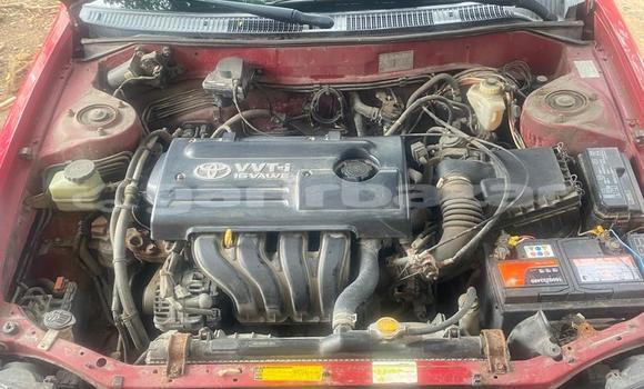 Sayi Imported Toyota Corolla Red Mota in Douala a Ƙasar Kamaru Sayi Imported Toyota Corolla Red Mota in Douala a Ƙasar Kamaru