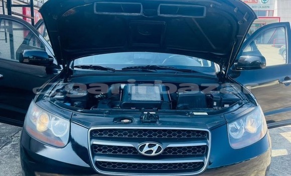 Buy Used Hyundai Santa Fe Black Car in Douala in Littoral Cameroon