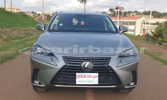 Buy Used Lexus RX 300 Silver Car in Yaounde in Central Cameroon Buy Used Lexus RX 300 Silver Car in Yaounde in Central Cameroon
