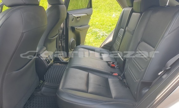 Buy Used Lexus RX 300 Silver Car in Yaounde in Central Cameroon Buy Used Lexus RX 300 Silver Car in Yaounde in Central Cameroon