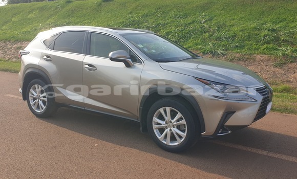 Buy Used Lexus RX 300 Silver Car in Yaounde in Central Cameroon Buy Used Lexus RX 300 Silver Car in Yaounde in Central Cameroon