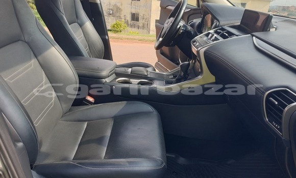 Buy Used Lexus RX 300 Silver Car in Yaounde in Central Cameroon Buy Used Lexus RX 300 Silver Car in Yaounde in Central Cameroon