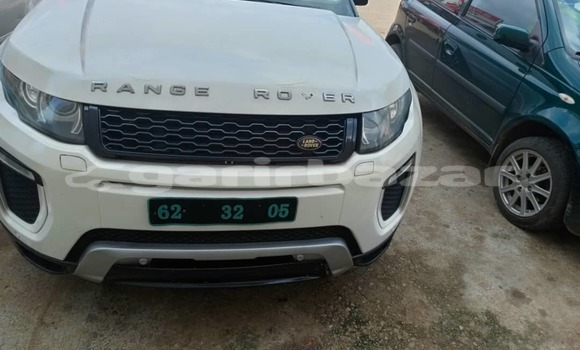 Buy Used Range Rover Evoque White Car in Douala in Littoral Cameroon