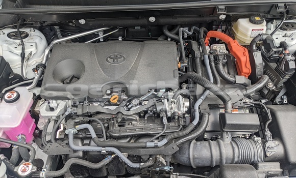 Sayi Sabo Toyota RAV4 White Mota in Douala a Ƙasar Kamaru Sayi Sabo Toyota RAV4 White Mota in Douala a Ƙasar Kamaru