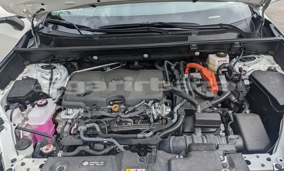 Sayi Sabo Toyota RAV4 White Mota in Douala a Ƙasar Kamaru Sayi Sabo Toyota RAV4 White Mota in Douala a Ƙasar Kamaru