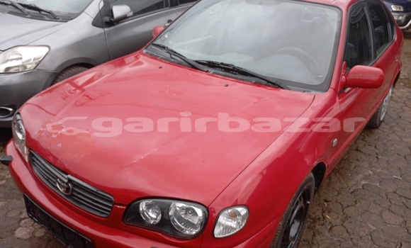 Buy Used Toyota Corolla Red Car in Douala in Littoral Cameroon