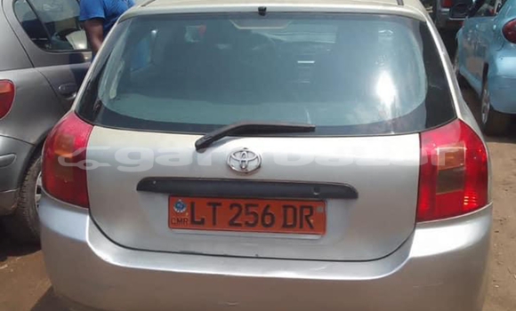 Buy Used Toyota Corolla Silver Car in Douala in Littoral Cameroon Buy Used Toyota Corolla Silver Car in Douala in Littoral Cameroon