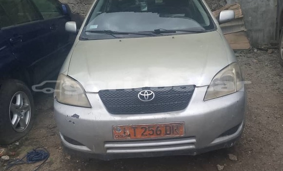 Acheter Occasion Voiture Toyota Corolla Gris à Douala, Littoral Cameroon Acheter Occasion Voiture Toyota Corolla Gris à Douala, Littoral Cameroon