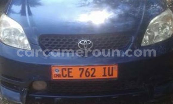 Sayi Na hannu Toyota Matrix Blue Mota in Tibati a Adamawa