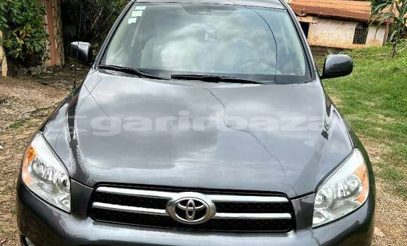 Buy Used Toyota RAV4 Other Car in Akonolinga in Central Cameroon