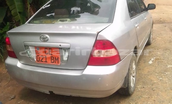 Buy Used Toyota Corolla Other Car in Douala in Littoral Cameroon