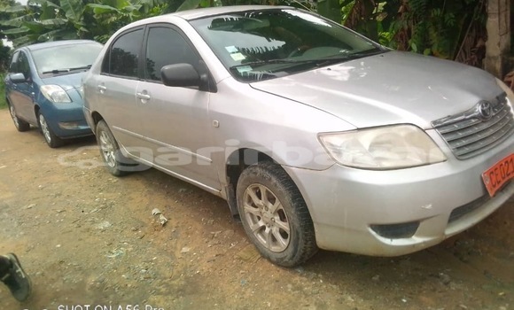 Acheter Occasion Voiture Toyota Corolla Autre à Douala, Littoral Cameroon Acheter Occasion Voiture Toyota Corolla Autre à Douala, Littoral Cameroon