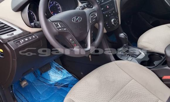 Buy Import Hyundai Santa Fe Other Car in Douala in Littoral Cameroon