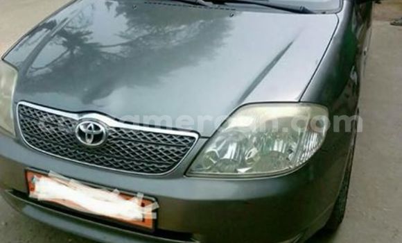 Sayi Na hannu Toyota Corolla Sauran Mota in Tibati a Adamawa
