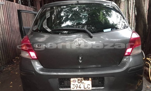 Buy Used Toyota Yaris Other Car in Yaounde in Central Cameroon