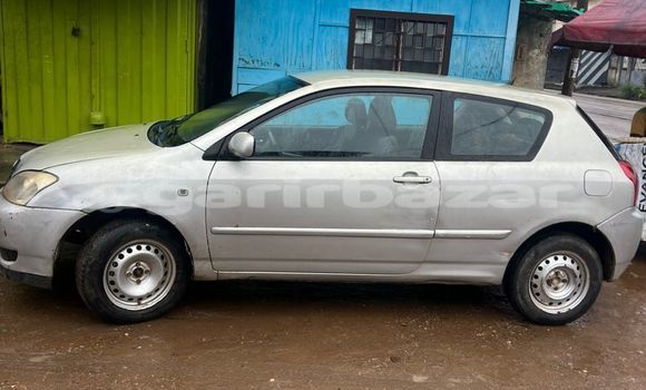 Buy Used Toyota Corolla Silver Car in Douala in Littoral Cameroon