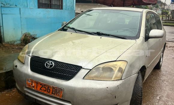 Acheter Occasion Voiture Toyota Corolla Gris à Douala, Littoral Cameroon Acheter Occasion Voiture Toyota Corolla Gris à Douala, Littoral Cameroon
