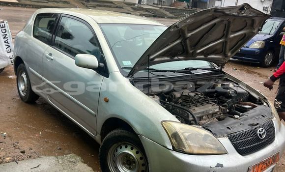 Acheter Occasion Voiture Toyota Corolla Gris à Douala, Littoral Cameroon Acheter Occasion Voiture Toyota Corolla Gris à Douala, Littoral Cameroon