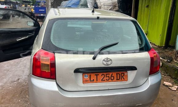 Acheter Occasion Voiture Toyota Corolla Gris à Douala, Littoral Cameroon Acheter Occasion Voiture Toyota Corolla Gris à Douala, Littoral Cameroon
