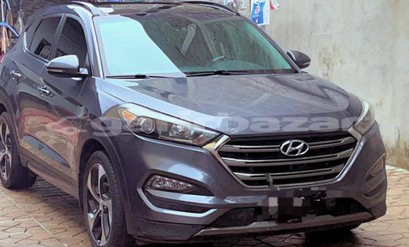 Buy Import Hyundai Tucson Silver Car in Douala in Littoral Cameroon