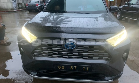 Acheter Occasion Voiture Toyota RAV4 Autre à Douala, Littoral Cameroon