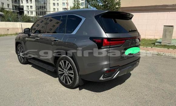 Acheter Neuf Voiture Lexus LX Autre à Douala, Littoral Cameroon Acheter Neuf Voiture Lexus LX Autre à Douala, Littoral Cameroon