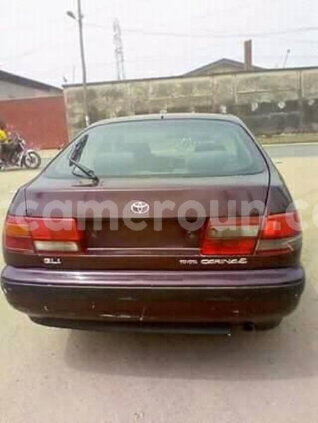 Big with watermark 25075045 1436706473124388 2663118157098388861 o