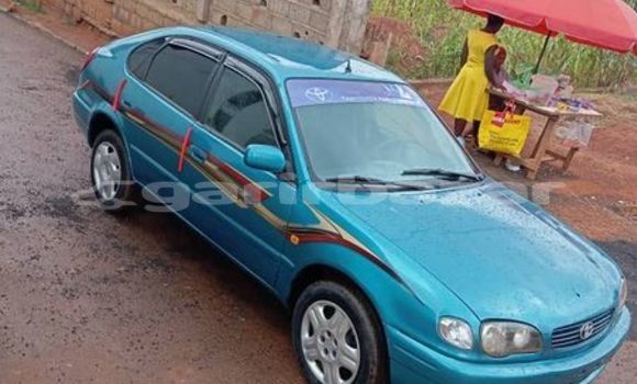 Sayi Na hannu Toyota Corolla Sauran Mota in Douala a Ƙasar Kamaru