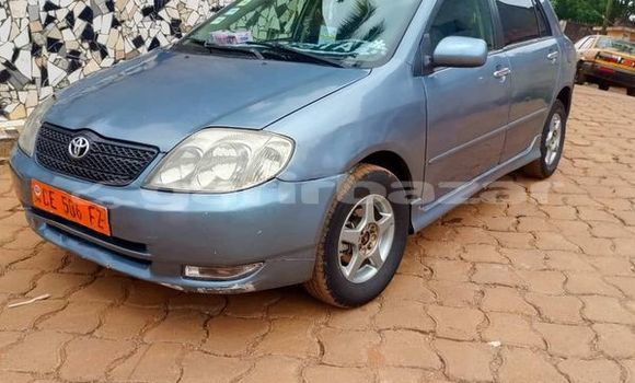 Acheter Occasion Voiture Toyota Corolla Autre à Yaoundé, Central Cameroon Acheter Occasion Voiture Toyota Corolla Autre à Yaoundé, Central Cameroon