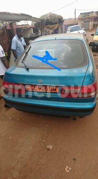 Big with watermark 25075045 1436706473124388 2663118157098388861 o