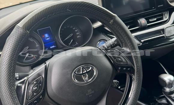 Sayi Imported Toyota C-HR Sauran Mota in Douala a Ƙasar Kamaru Sayi Imported Toyota C-HR Sauran Mota in Douala a Ƙasar Kamaru
