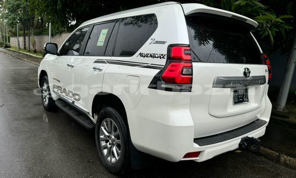 Acheter Neuf Voiture Toyota Prado Blanc à Douala, Littoral Cameroon Acheter Neuf Voiture Toyota Prado Blanc à Douala, Littoral Cameroon