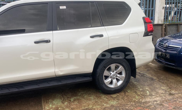 Acheter Neuf Voiture Toyota Prado Blanc à Douala, Littoral Cameroon Acheter Neuf Voiture Toyota Prado Blanc à Douala, Littoral Cameroon