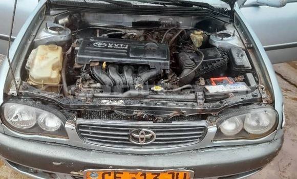 Acheter Occasion Voiture Toyota Corolla Gris à Douala, Littoral Cameroon Acheter Occasion Voiture Toyota Corolla Gris à Douala, Littoral Cameroon