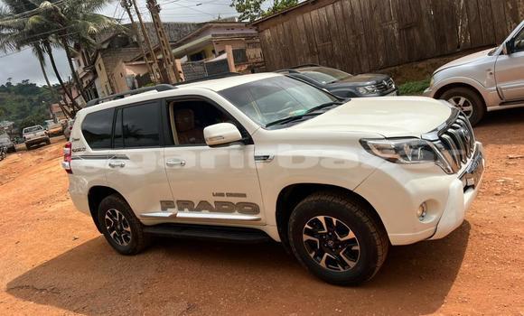 Buy Import Toyota Prado White Car in Douala in Littoral Cameroon